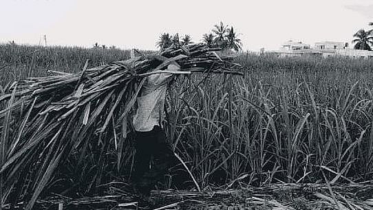 Photo used for representation.