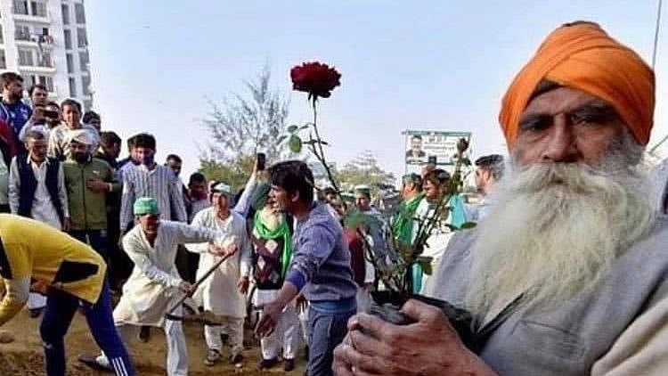 BKU leader Rakesh Tikait said the police fixed iron nails for farmers, but they decided to plant flowers for them.