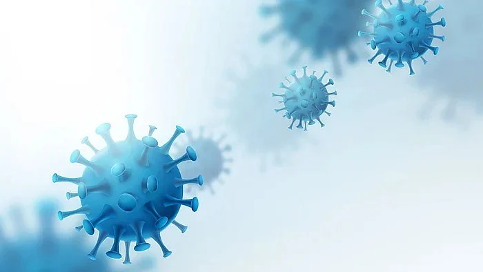 <div class="paragraphs"><p>The Delta Plus variant of coronavirus. Representative photo.</p></div>