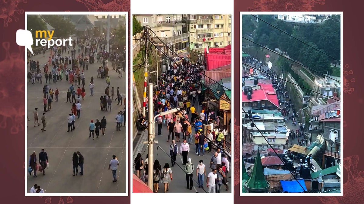 <div class="paragraphs"><p>Tourists arriving from across the country have choked the roads in Shimla</p></div>