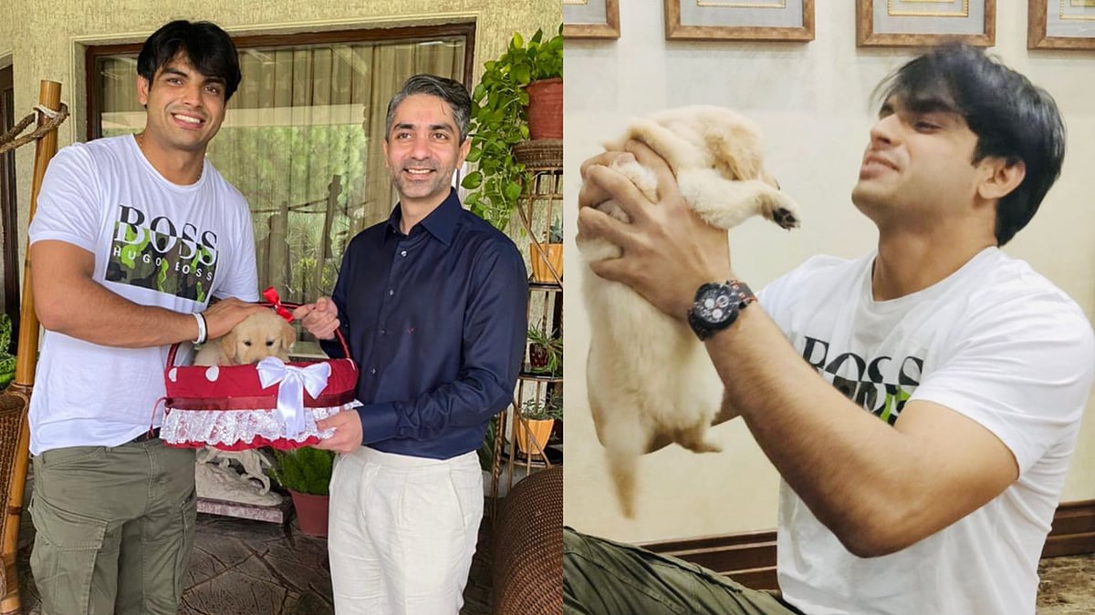 <div class="paragraphs"><p>India's two individual Olympic gold medallists Abhinav Bindra and Neeraj Chopra met on Wednesday.</p></div>