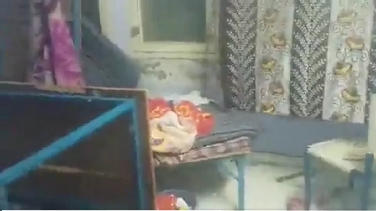 <div class="paragraphs"><p>Several Kashmiri students at the Bhai Gurdas Institute of Engineering and Technology in Punjab's Patiala alleged that they were attacked on Sunday, 24 October.</p></div>