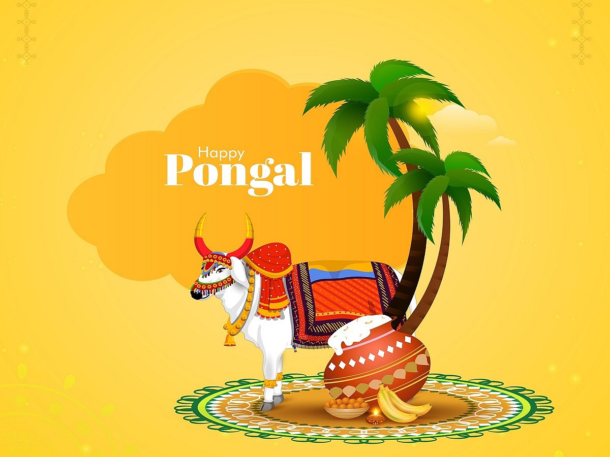 <div class="paragraphs"><p>Pongal 2022: Date, History And Significance</p></div>