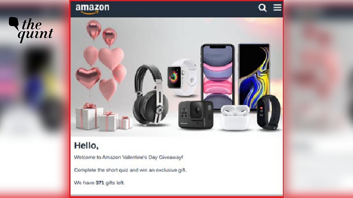 <div class="paragraphs"><p>Landing page of the scam.</p></div>