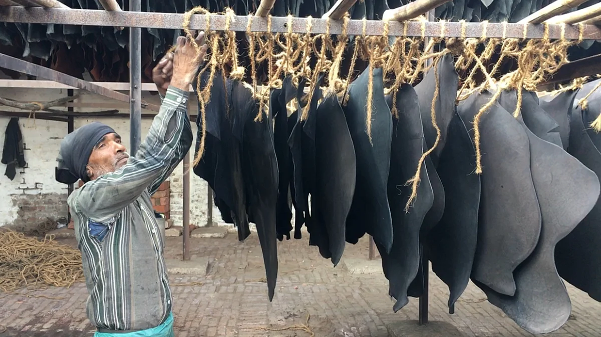 <div class="paragraphs"><p>When courts ordered tanneries in Kanpur to relocate due to environmental concerns, it was not the factory owners who suffered. The workers lost their wages, some even lost their homes.</p></div>