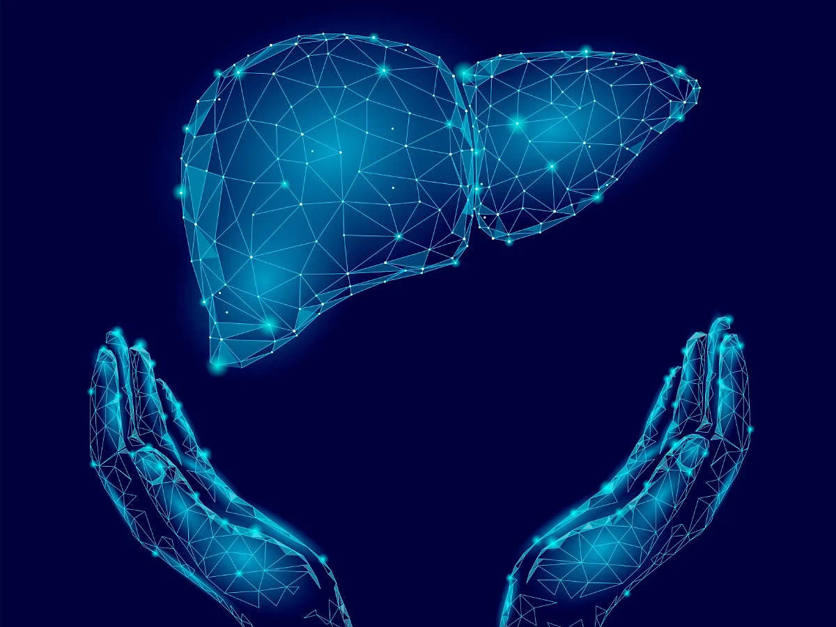 <div class="paragraphs"><p>World Liver day 2022. Image used for representative purposes.&nbsp;</p></div>