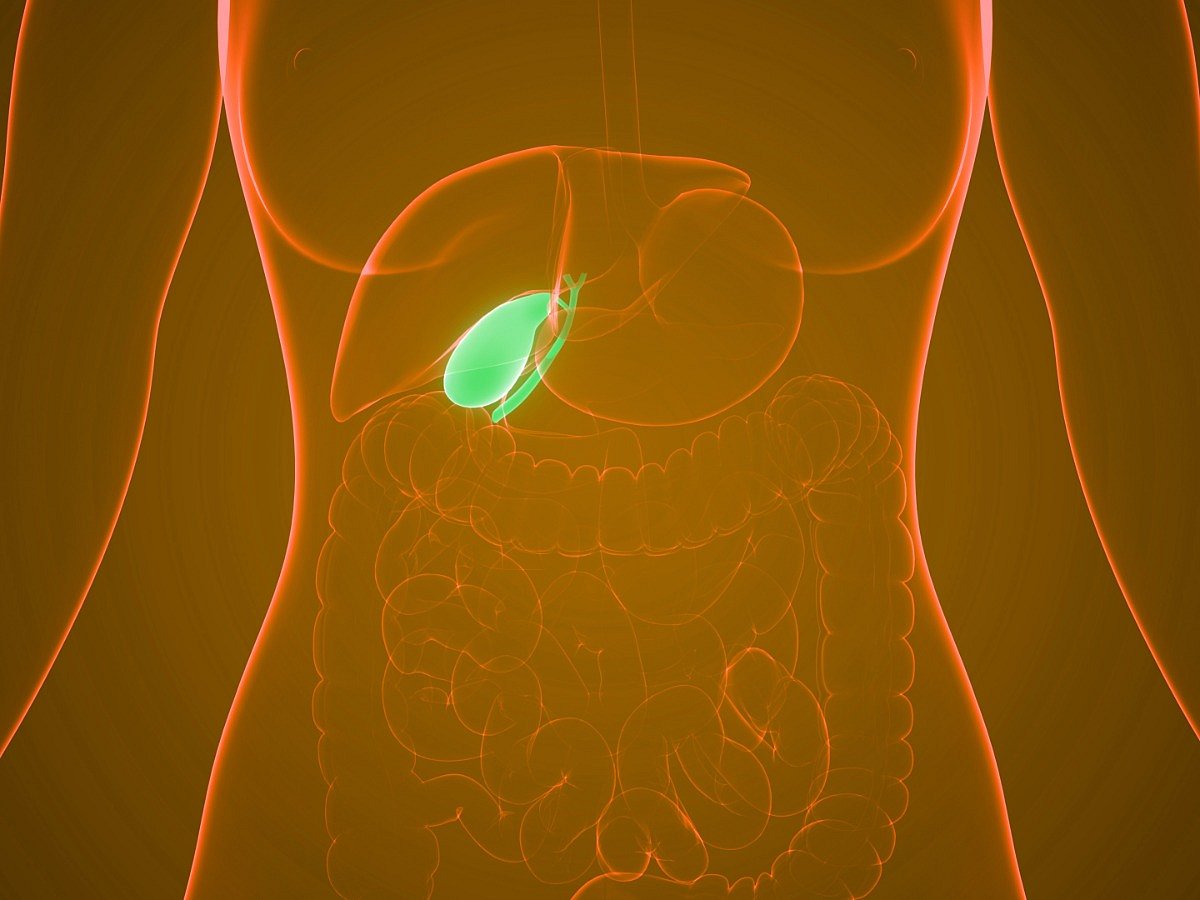 <div class="paragraphs"><p>Know about the causes, symptoms, and treatment of gallstones in detail.</p></div>