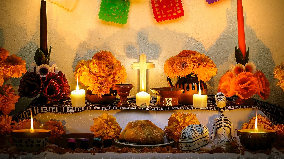 <div class="paragraphs"><p>All Saint's Day: Date, History. Significance, and why to celebrate?</p></div>