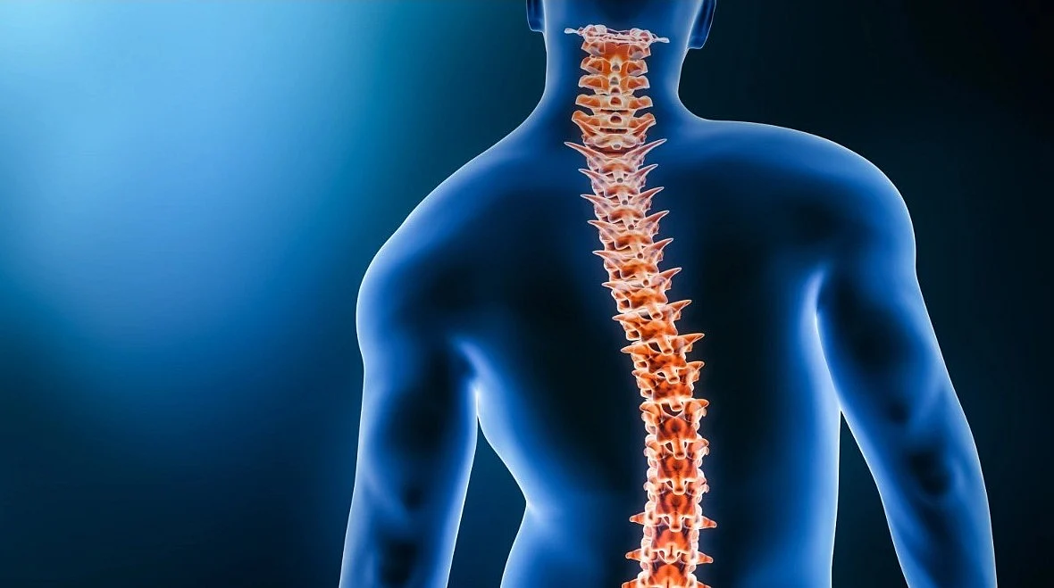 <div class="paragraphs"><p>Know the causes, symptoms, diagnosis, and treatment of scoliosis in detail.</p></div>