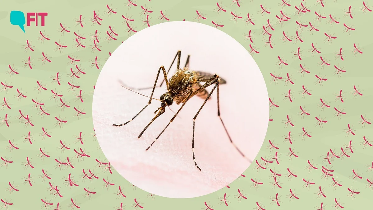 <div class="paragraphs"><p>Karnataka reported its first case of <a href="https://www.thequint.com/fit/health-news/zika-virus-cases-in-delhi">Zika virus</a> after a five-year-old girl from the Raichur district tested positive for it.</p></div>