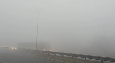 <div class="paragraphs"><p>Image used for representation.</p></div>