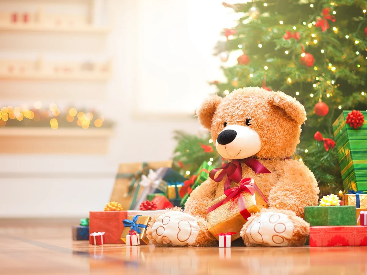 <div class="paragraphs"><p>Teddy Day 2023 </p></div>