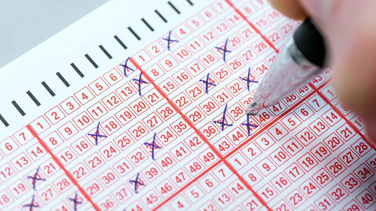 Kerala Lottery Result: Check keralalotteries.com for Updates; How to Download Sthree Sakthi SS 355 Lottery Sambad PDF Today; Prize Money Details and Updates