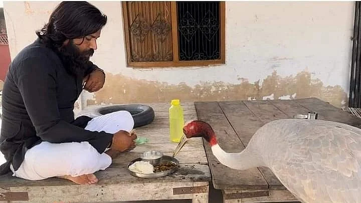 <div class="paragraphs"><p>Arif Khan Gurjar with the Sarus crane that he rescued.</p></div>