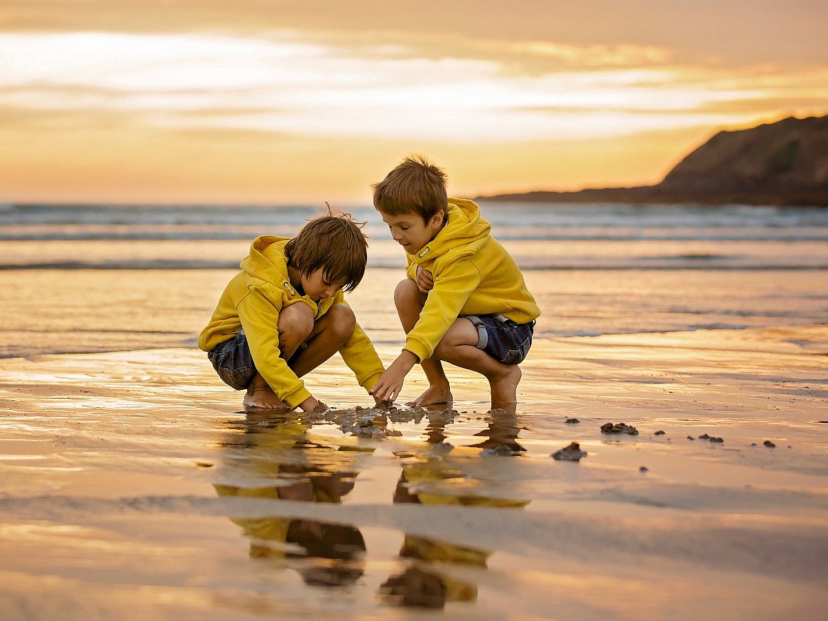<div class="paragraphs"><p>Brother’s Day quotes, messages, and wishes</p></div>
