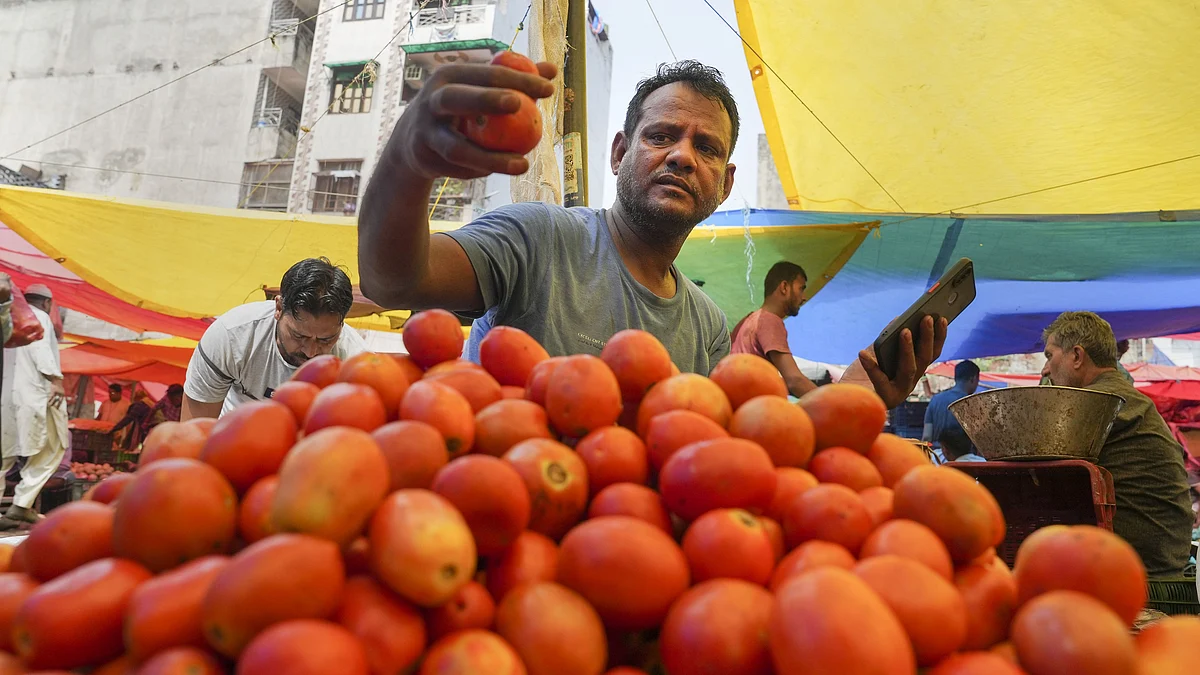 <div class="paragraphs"><p>The price of tomatoes, which has been on the rise since last month, remained at an inflated cost of Rs 250 per kg across major cities on Saturday.</p></div>