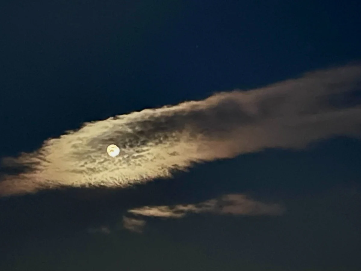 <div class="paragraphs"><p>All details about&nbsp;Supermoon in August 2023</p></div>