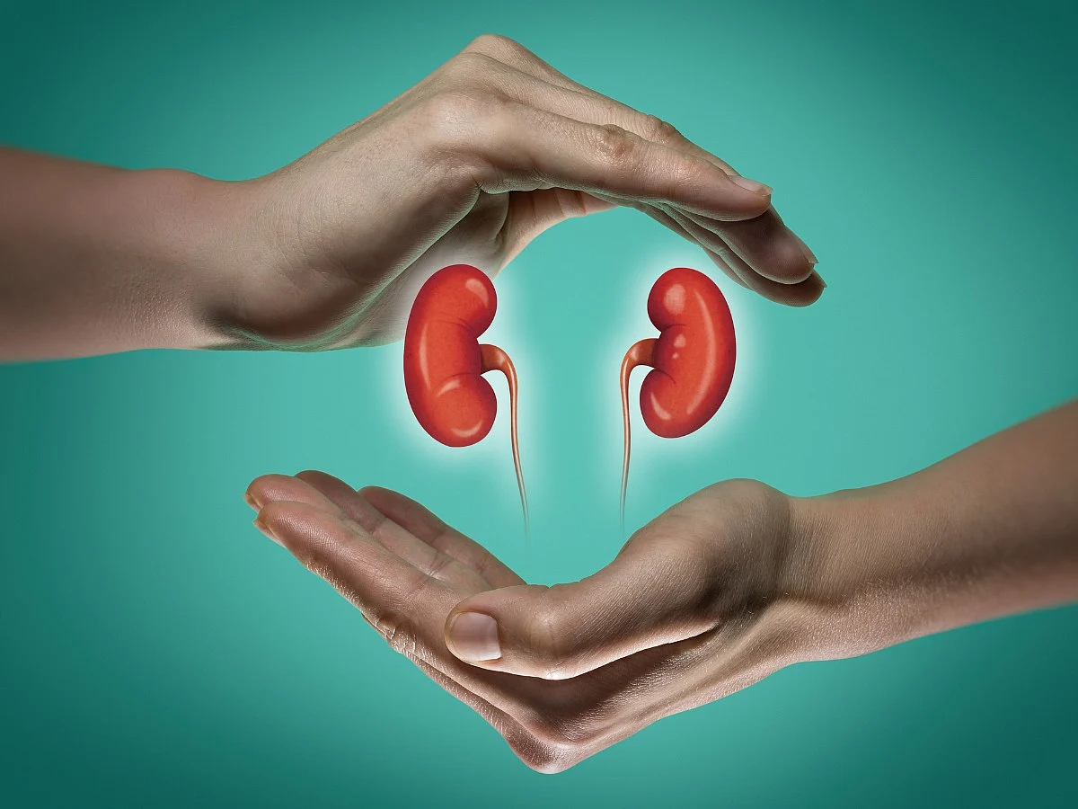 <div class="paragraphs"><p>healthy kidney foods list</p></div>