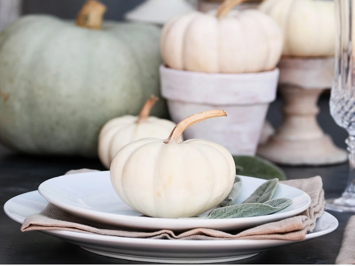 <div class="paragraphs"><p>Benefits of white pumpkin</p></div>