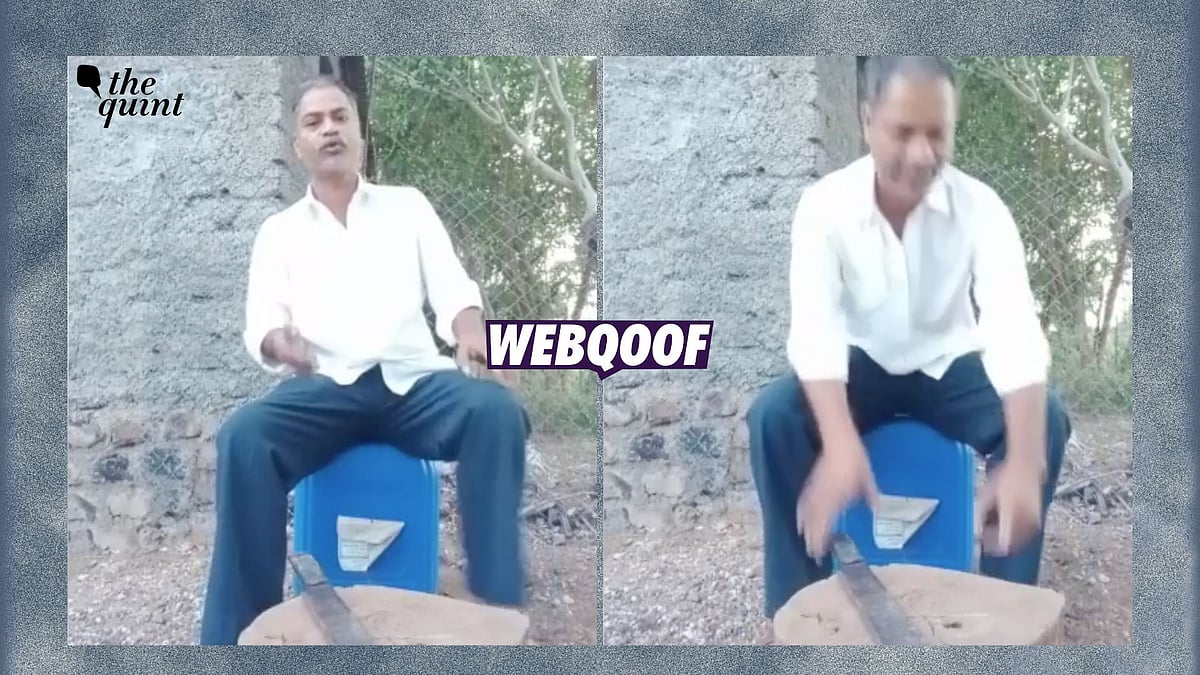 <div class="paragraphs"><p>The video shows Dhananjay Nanaware, who made the clip to express his anger with the police's inaction over his family's demise.</p></div>