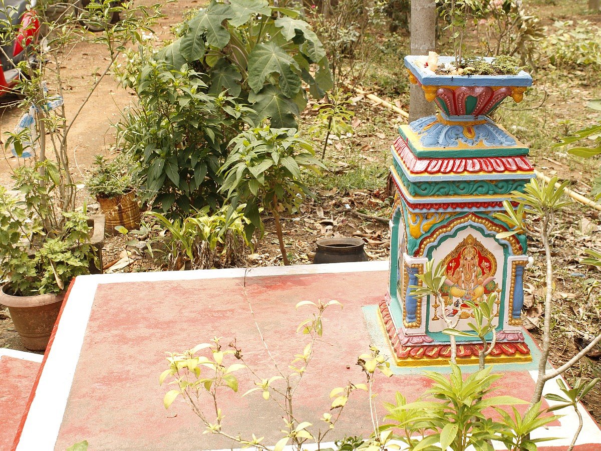 <div class="paragraphs"><p>Happy Tulsi Vivah 2023</p></div>