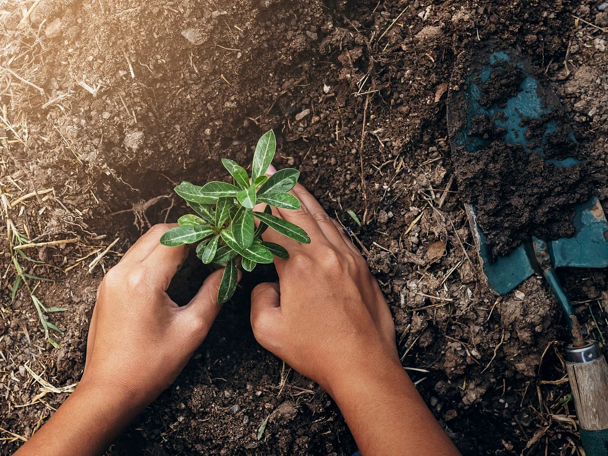 <div class="paragraphs"><p>World Soil Day 2023</p></div>