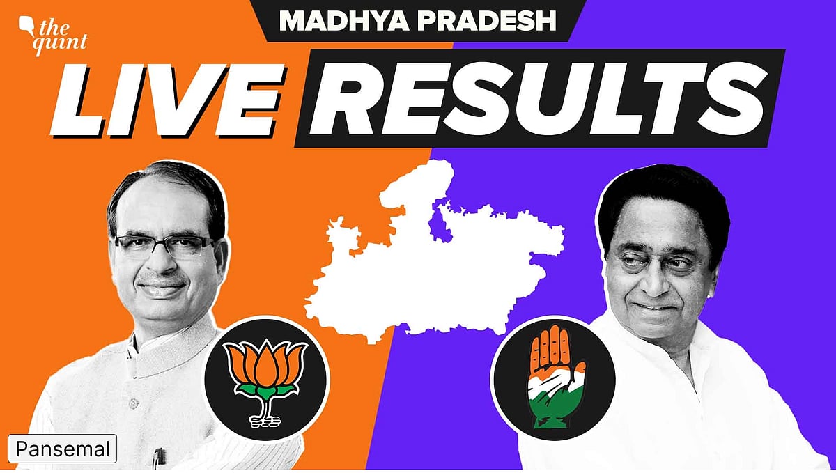 <div class="paragraphs"><p>Pansemal Election Result live updates for Madhya Pradesh Assembly election 2023<br><br>The Quint</p></div>