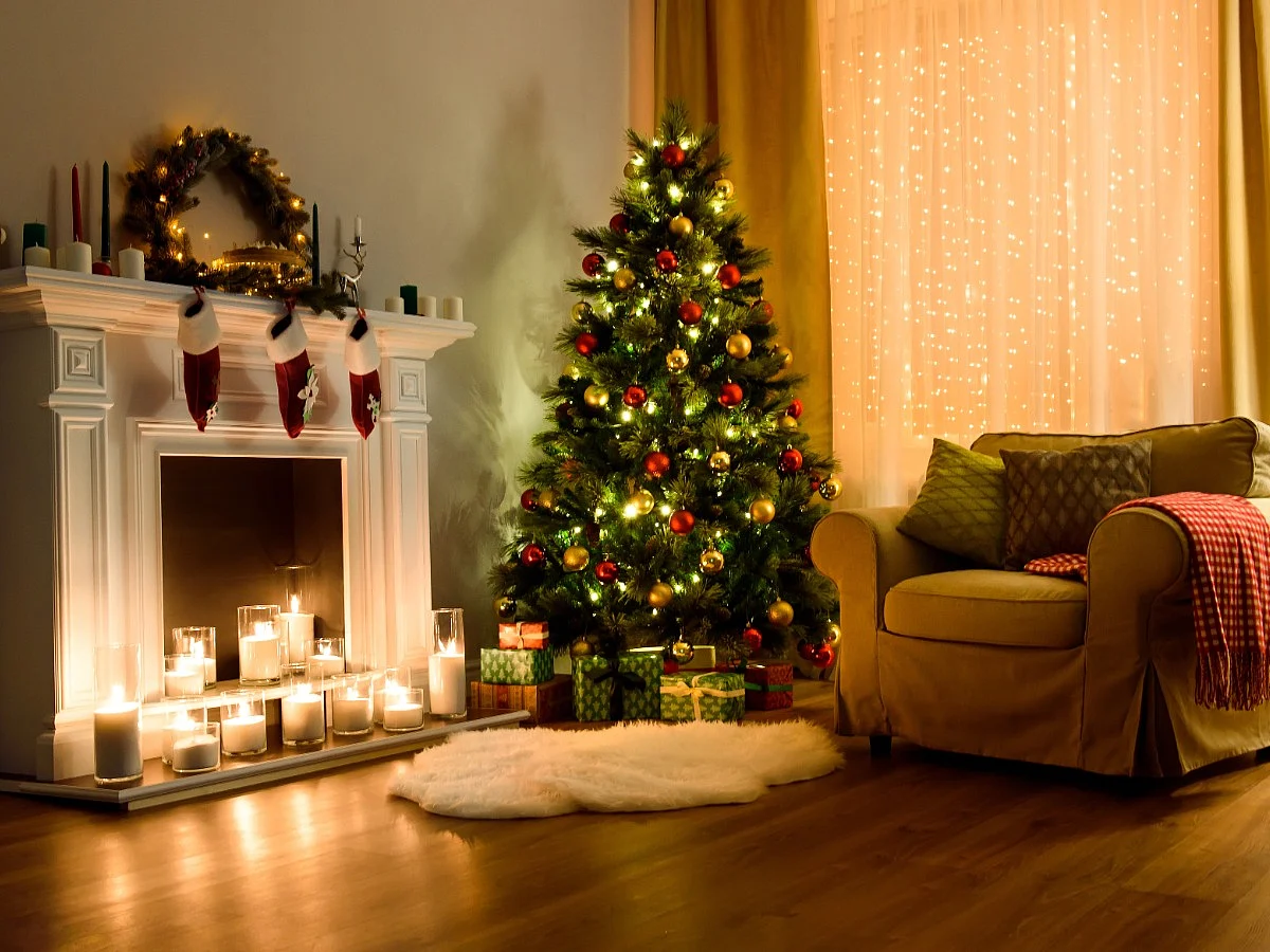 <div class="paragraphs"><p>Interesting facts about Christmas</p></div>