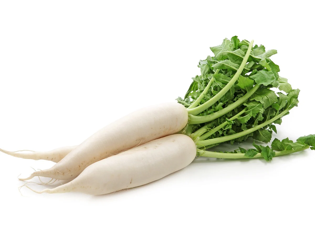 <div class="paragraphs"><p>Radish benefits for health</p></div>