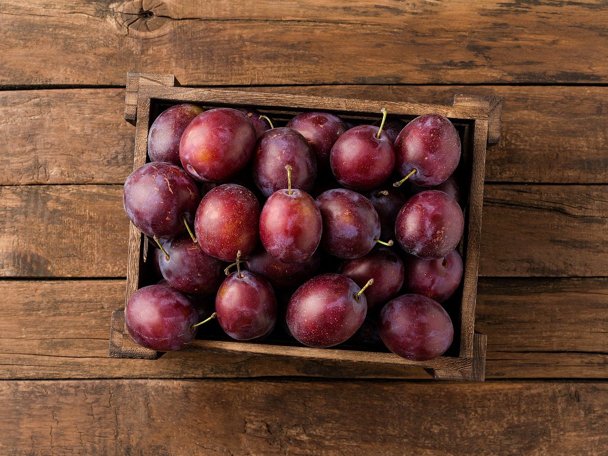 <div class="paragraphs"><p>Plums benefits&nbsp;</p></div>