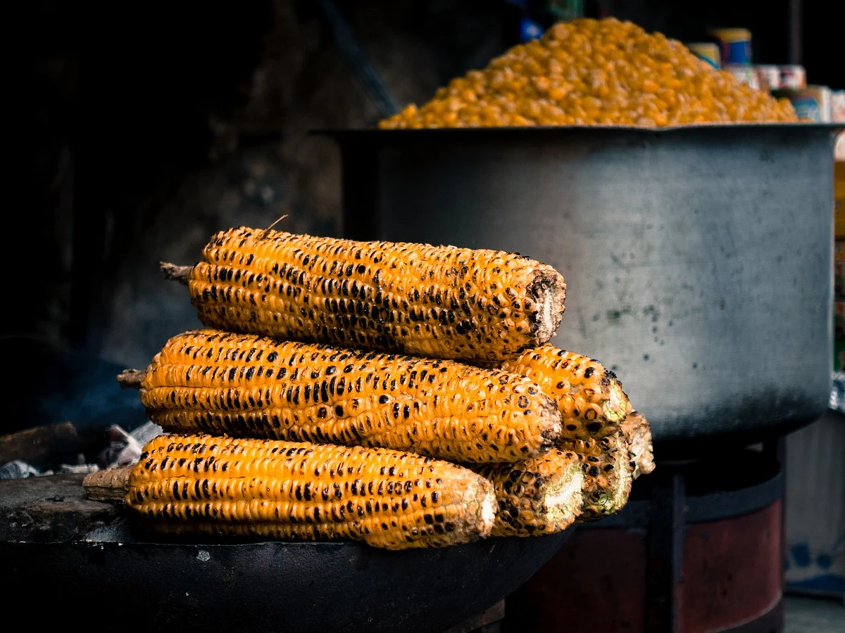 <div class="paragraphs"><p>corn benefits</p></div>