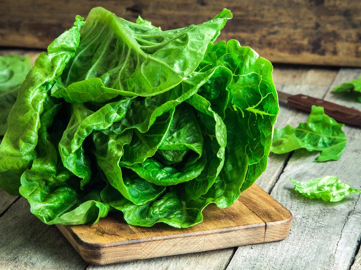 <div class="paragraphs"><p>lettuce benefits</p></div>
