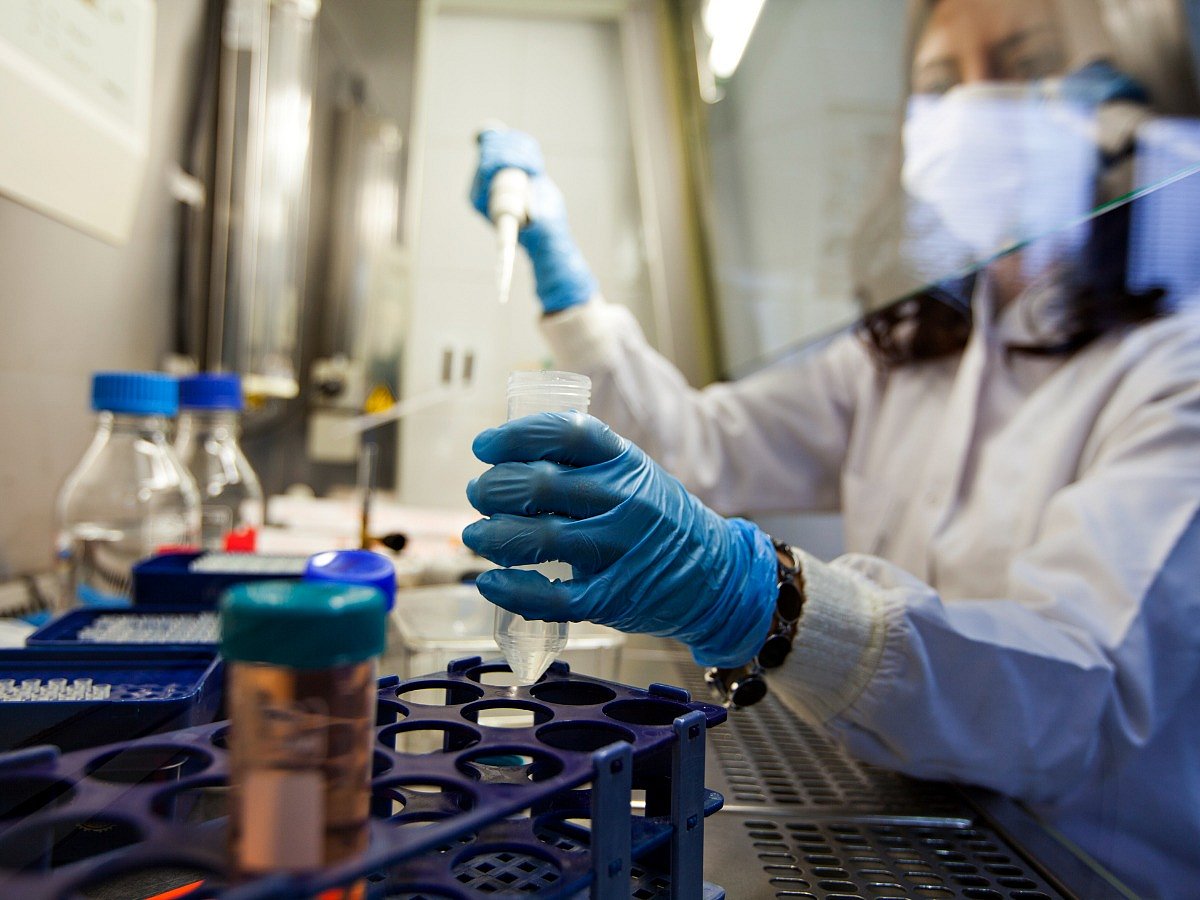 <div class="paragraphs"><p>Genetic Cancer Testing</p></div>
