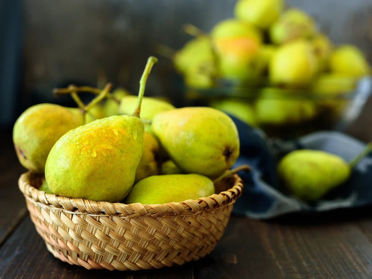 <div class="paragraphs"><p>benefits of pear</p></div>