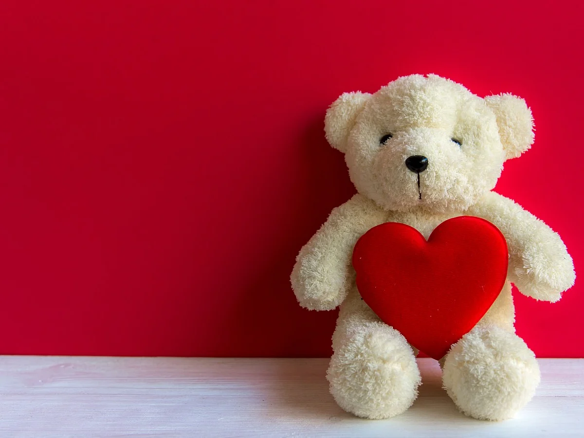 <div class="paragraphs"><p>Happy Teddy Day 2024</p></div>