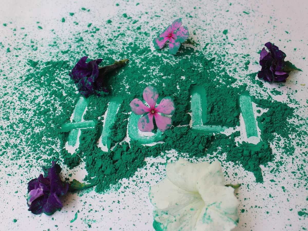 <div class="paragraphs"><p> Eco-Friendly Holi celebration</p></div>