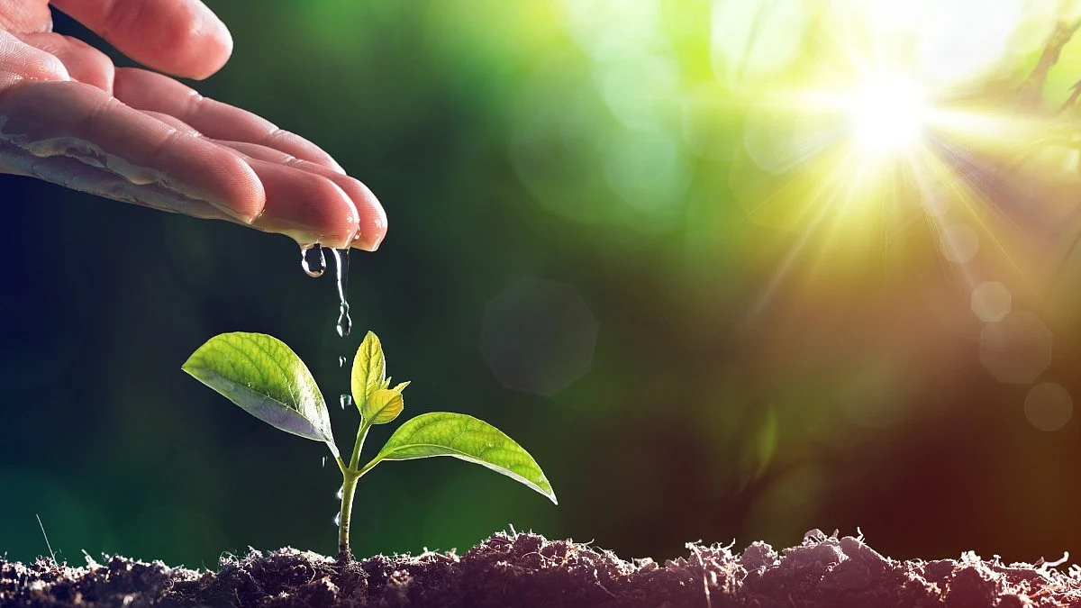 <div class="paragraphs"><p>Know everything about&nbsp;International Plant Appreciation Day 2024</p></div>