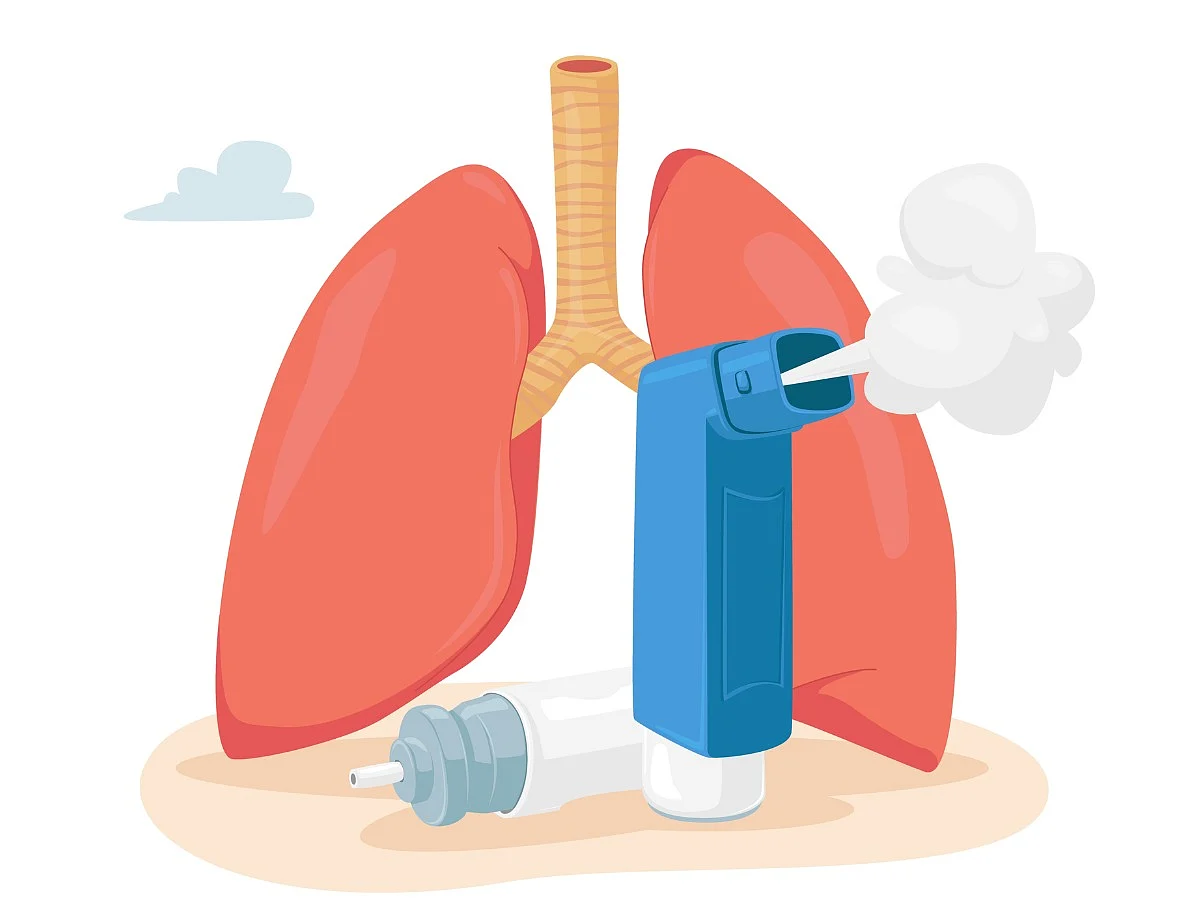 <div class="paragraphs"><p>symptoms of asthma in adults and kids</p></div>