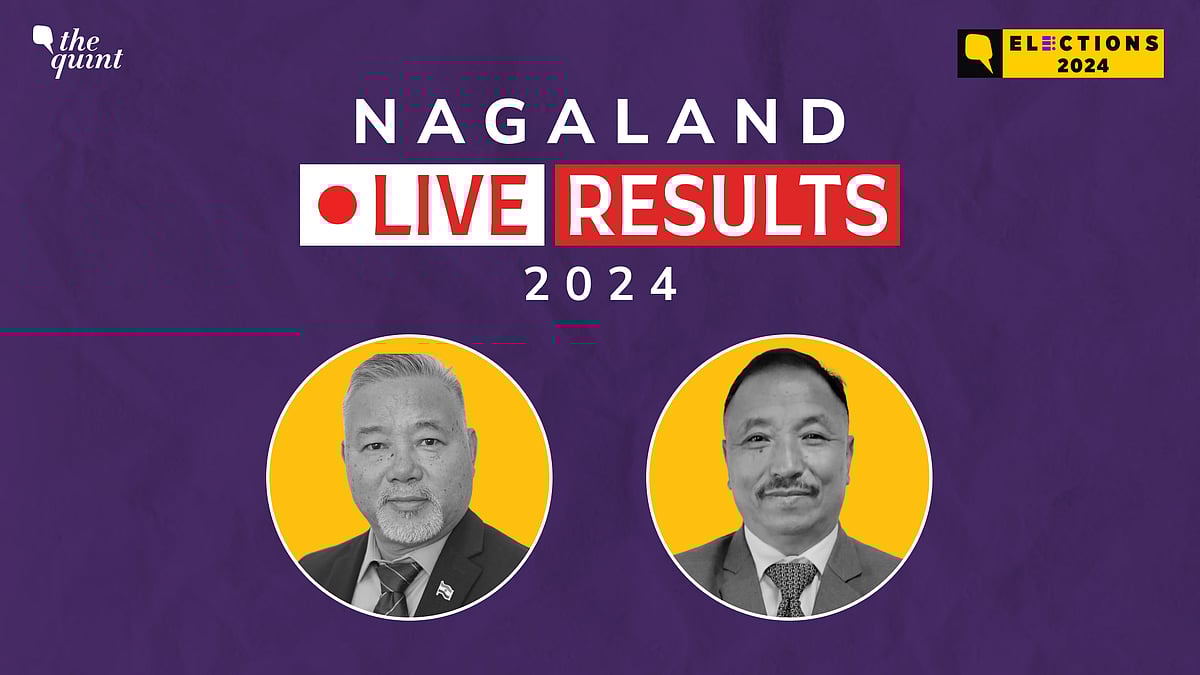 <div class="paragraphs"><p>Nagaland Election Result live updates for Lok Sabha election 2024</p></div>