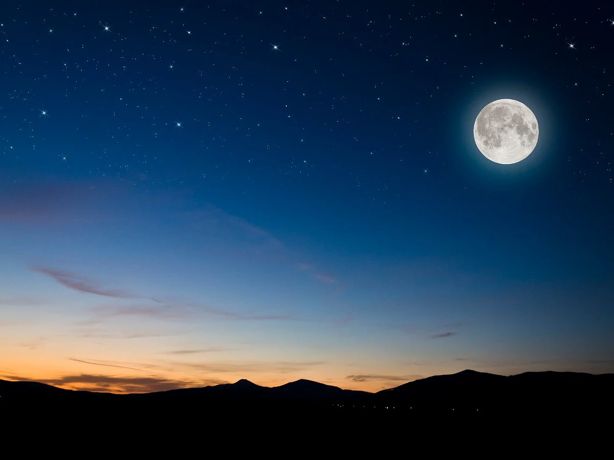 <div class="paragraphs"><p>Know everything about Vaishakha Purnima 2024</p></div>