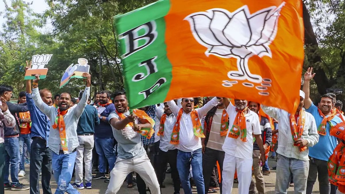 <div class="paragraphs"><p>BJP workers celebrate their party's lead in Maharashtra assembly elections. </p></div>