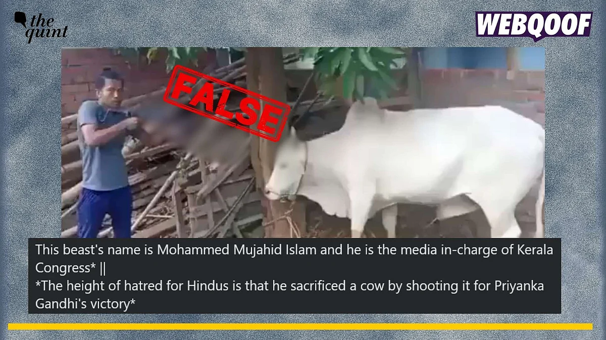 <div class="paragraphs"><p>Fact-check: An old video of a man shooting a cow in Manipur is going viral as one from Wayanad, Kerala.</p></div>