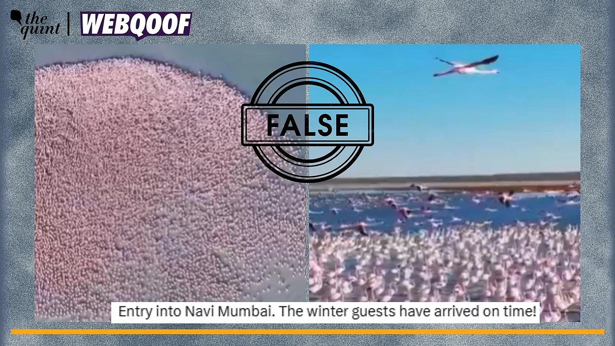 <div class="paragraphs"><p>Fact-Check | The video is old and unrelated to Mumbai or India.</p></div>