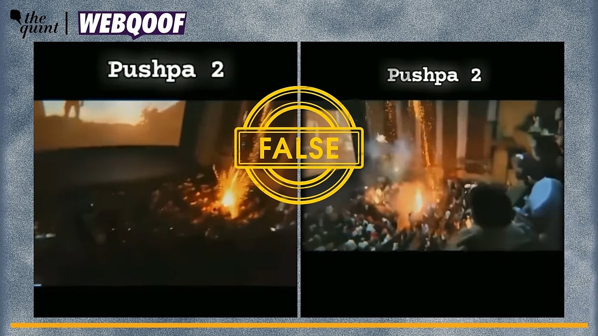 <div class="paragraphs"><p>Fact-Check | The video is old and is unrelated to the recent film Pushpa 2: The Rule.</p></div>