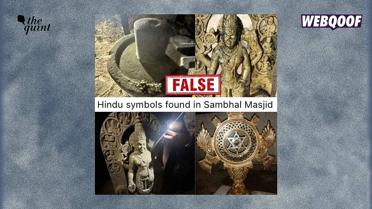 <div class="paragraphs"><p>None of these objects have any connection to the Shahi Jama Masjid in Sambhal, Uttar Pradesh.</p></div>