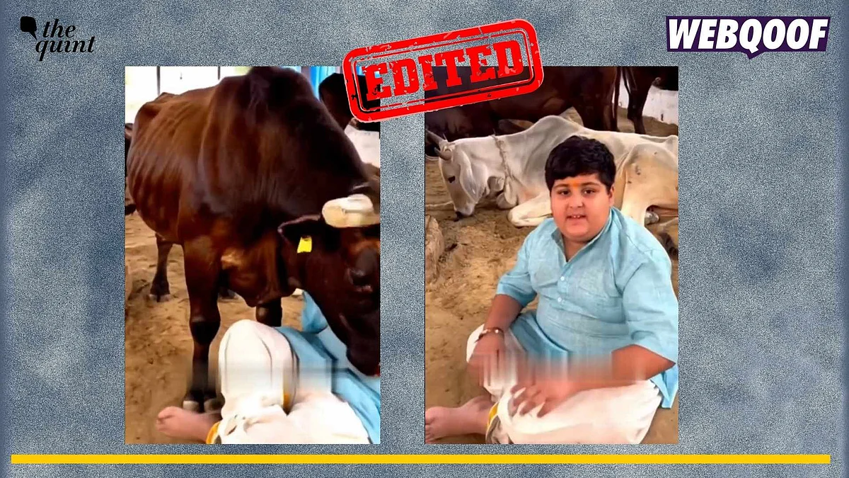 <div class="paragraphs"><p>Fact-check: This video has been digitally altered to show that Arora is being hit by a bull.</p></div>