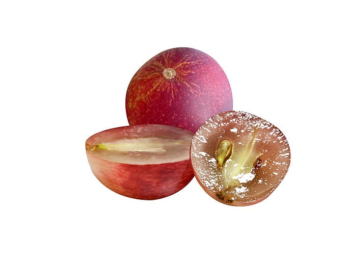 <div class="paragraphs"><p>Health Benefits of Camu Camu/</p></div>
