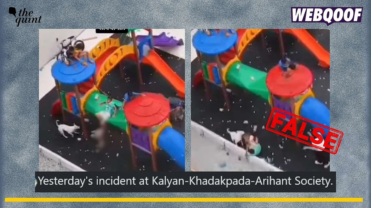 <div class="paragraphs"><p>Fact-check: A video from Sao Paulo, Brazil, of dogs attacking children is going viral as one from Kalyan, Maharashtra. </p></div>