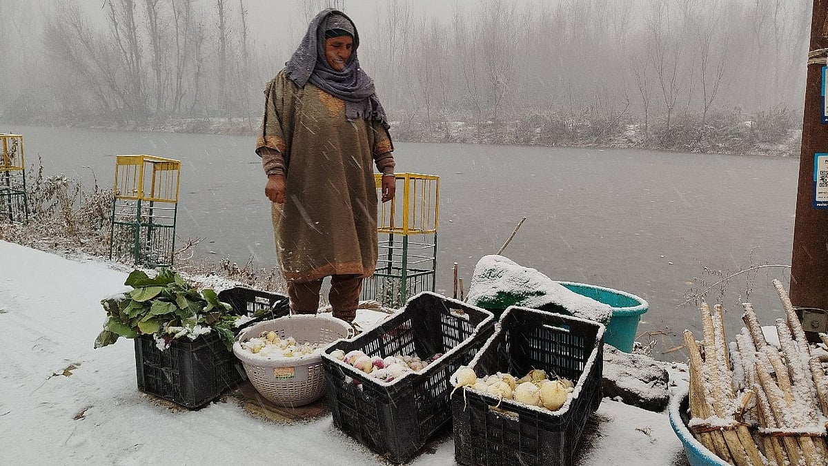 <div class="paragraphs"><p>Khadijah Akhoon selling vegetables on the road along the shores of Dal Lake in Sri Nagar</p></div>