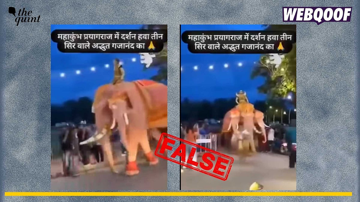 <div class="paragraphs"><p>Fact-check: A video from Thailand is going viral to falsely claim that it shows a three-headed elephant at Prayagraj Maha Kumbh Mela 2025.</p></div>